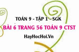 Bài 6 trang 56 Toán 9 tập 1 Chân trời sáng tạo